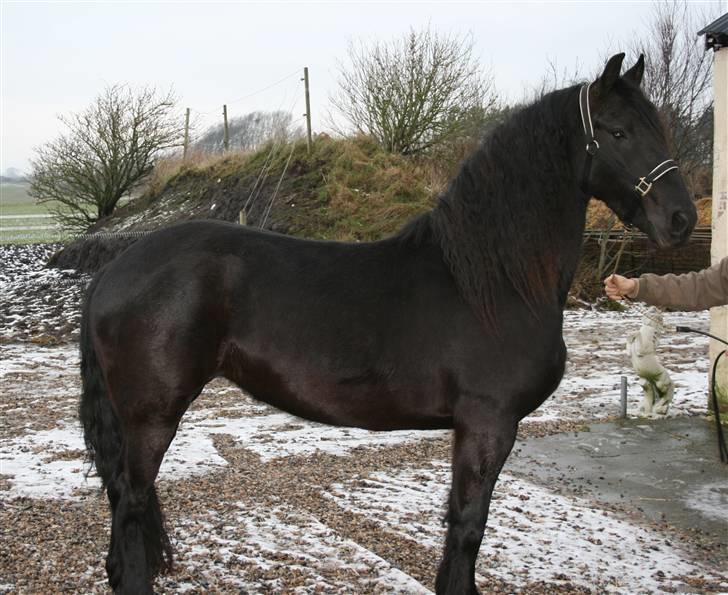Frieser Rieuwkje G. - SOLGT billede 10