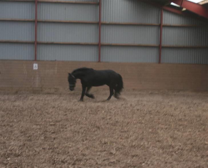 Frieser Rieuwkje G. - SOLGT billede 15