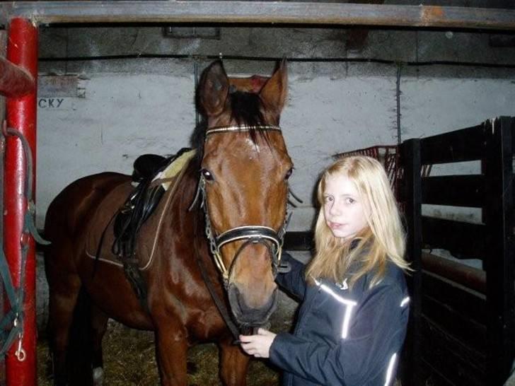 Anden særlig race Ramses Aflivet :'( - Smil :D billede 18