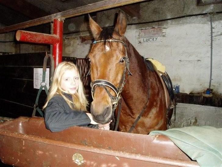 Anden særlig race Ramses Aflivet :'( - Tak fordi i kigge på mig og Ramses profil :D billede 19