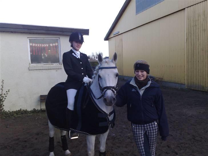 New Forest Amadeus    (gammel part) - desse, rikke & mig <3  billede 2