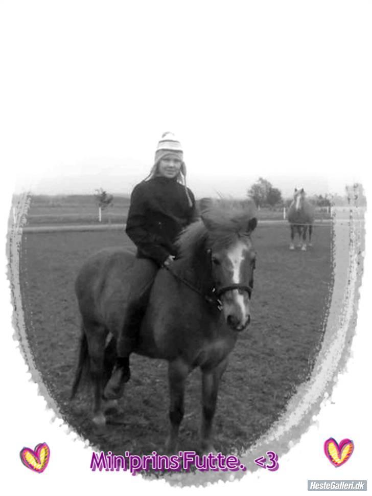 Anden særlig race Futte.†. ~savnet for altid~ - PRINS billede 13