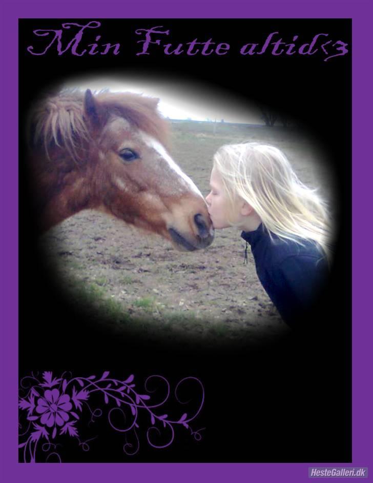 Anden særlig race Futte.†. ~savnet for altid~ - Min Futte altid <33 billede 14