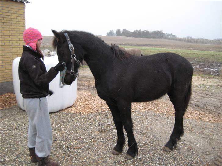 Frieser Abraham B SOLGT billede 14