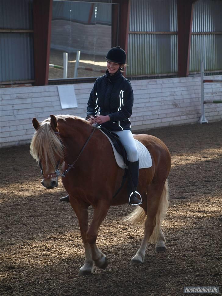 Anden særlig race Cha-Cha - Stævne d. 4/4 2009 Fotograf: Rikke Nielsen billede 9