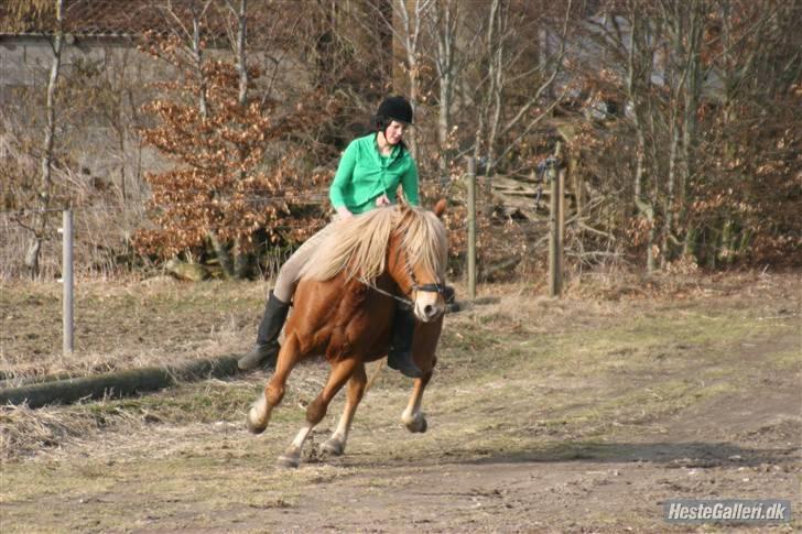 Anden særlig race Cha-Cha - Og vi vælter næsten XD Fotograf: Randi billede 11