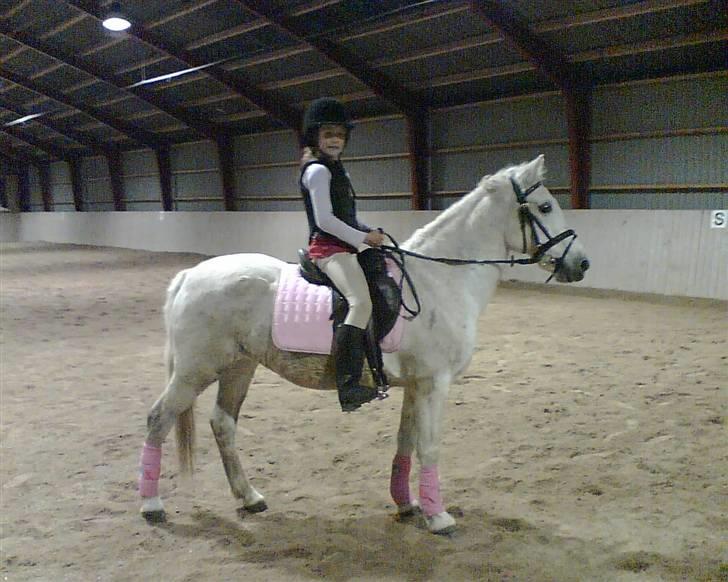 Anden særlig race  l Enggårdens Queen <3 - en dejlige ridetur på¨min fødselsdag :* - hun havde tabt den ene bandage - savner og elsker dig, mín dejlige elskede pony :,( hvil i fred.  billede 15