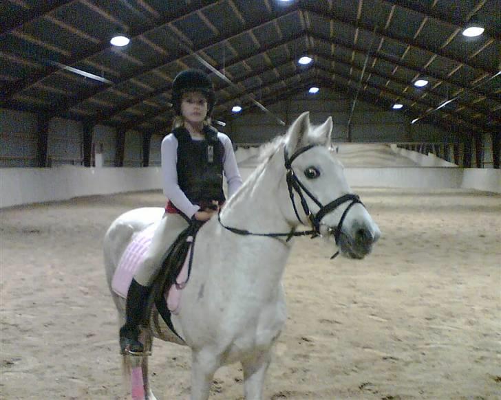 Anden særlig race  l Enggårdens Queen <3 - miin dejlige tøs, du havde ikke fortjent din død, du var jo så god! - savner og elsker dig, mín dejlige elskede pony :,( hvil i fred.  billede 17