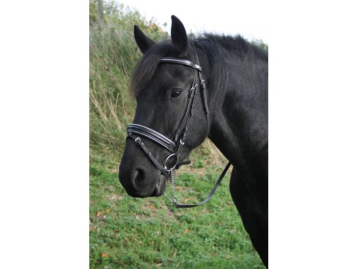 {{currentPhoto.altText}} billede {{currentPhoto.number}}