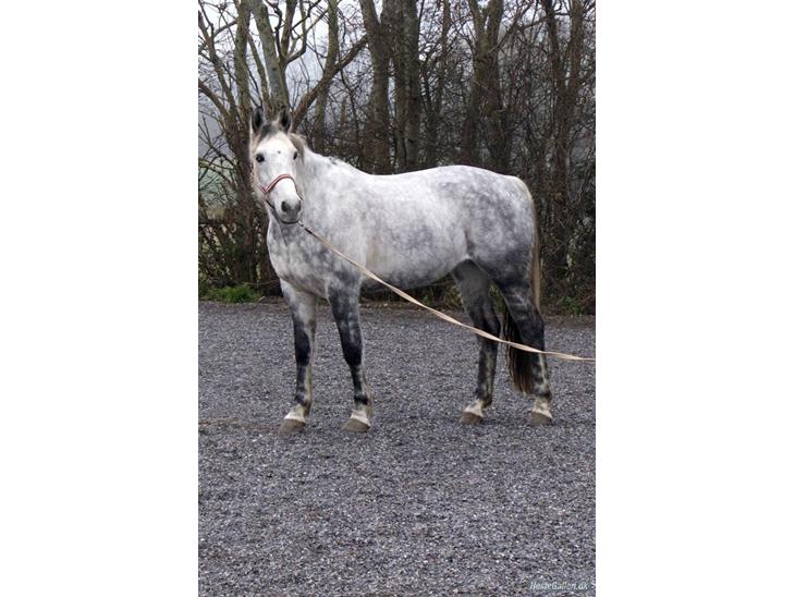 {{currentPhoto.altText}} billede {{currentPhoto.number}}