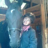 Dansk Varmblod Casmira (aflivet) :'(