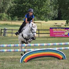 Welsh Pony (sec B) Hovmarkens Liva *Solgt*