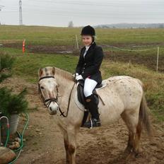 Anden særlig race »Philippa<3 »Gammel part.