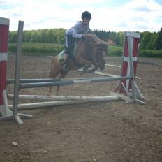 Anden særlig race Prins <3 (gammel part)