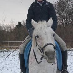 Sportsaraber (A) » Etern (: x Part