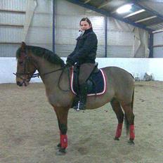 Anden særlig race Robin-Rider den ikke mere