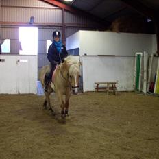 Anden særlig race Duchesse