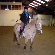 Anden særlig race Duchesse