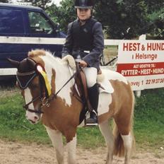 Dartmoor Indiana Jones solgt og savnet!<3