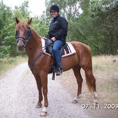 Traver Bounty Toftebjerg