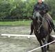 Frieser Nieske G