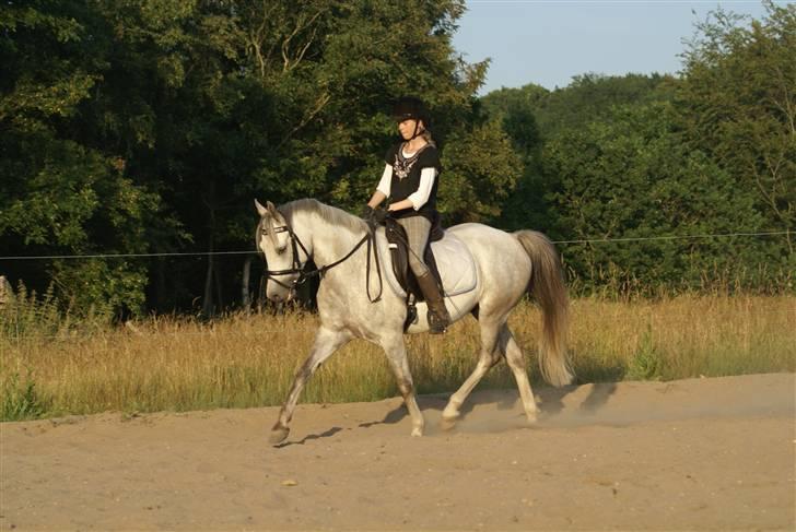 Anden særlig race | Simba<3 [SOLGT] - 16 ¤ Fiiiine pony! billede 15