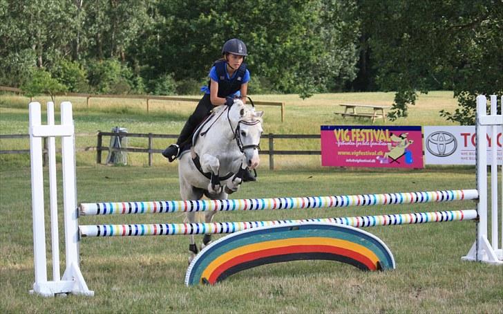 Welsh Pony (sec B) Hovmarkens Liva *Solgt* - Amalie og Liva :) *NYT* billede 1