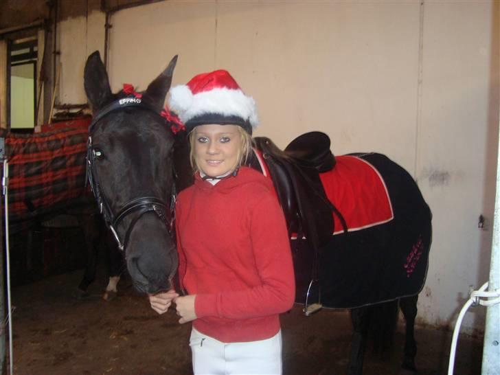 Anden særlig race Fromsmindes Effino. SOLGT billede 17