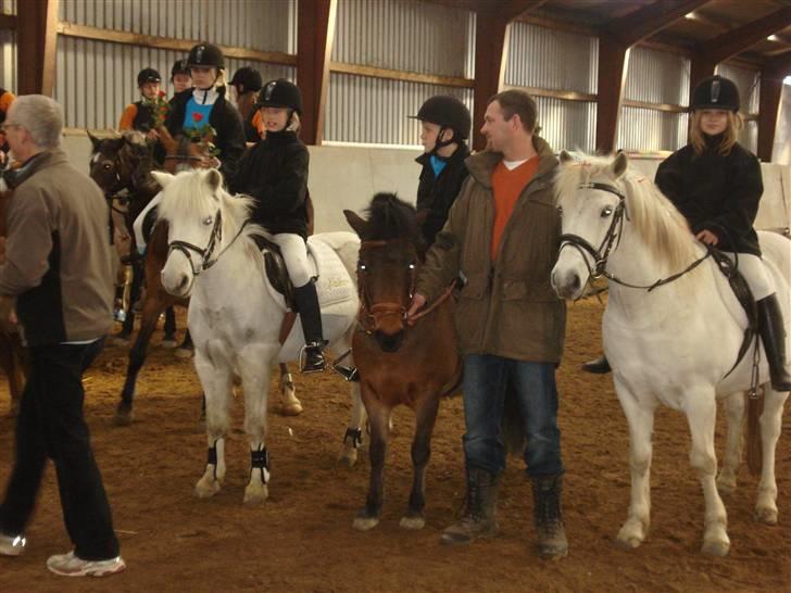 Anden særlig race Gaby - 2. plads til pony games stævne :) billede 4