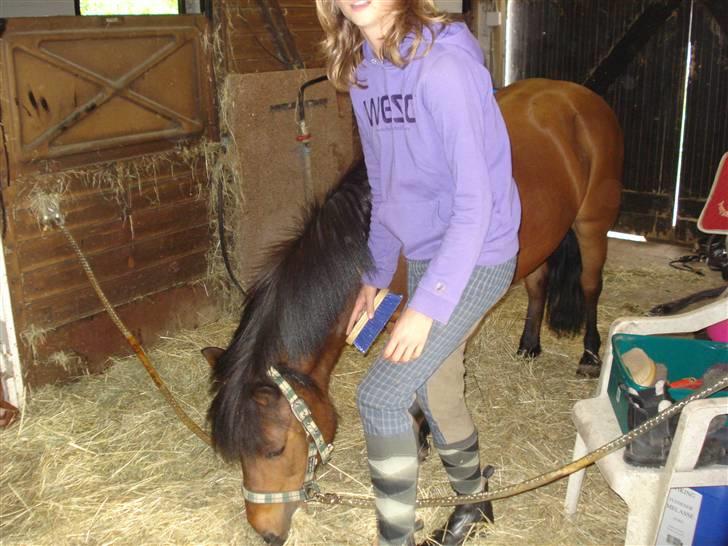 Anden særlig race Gaby - Sara, vores Nabo som red Gaby nogle gange <333 billede 7