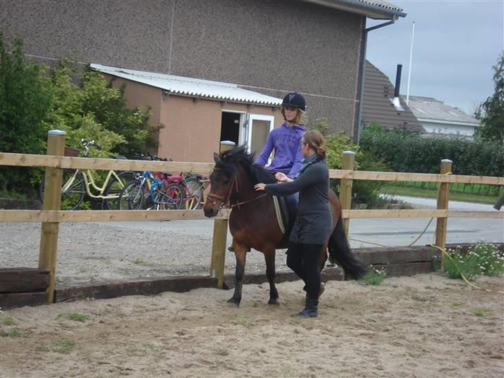 Anden særlig race Gaby - Sara, der for undervisning på Gaby af min søster hjemme hos os. :) billede 9