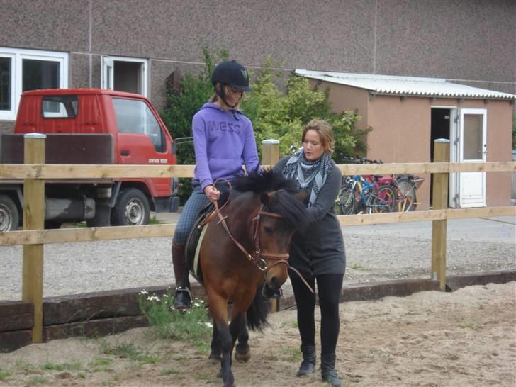 Anden særlig race Gaby - Sara, der for undervisning på Gaby af min søster hjemme hos os. :) billede 10