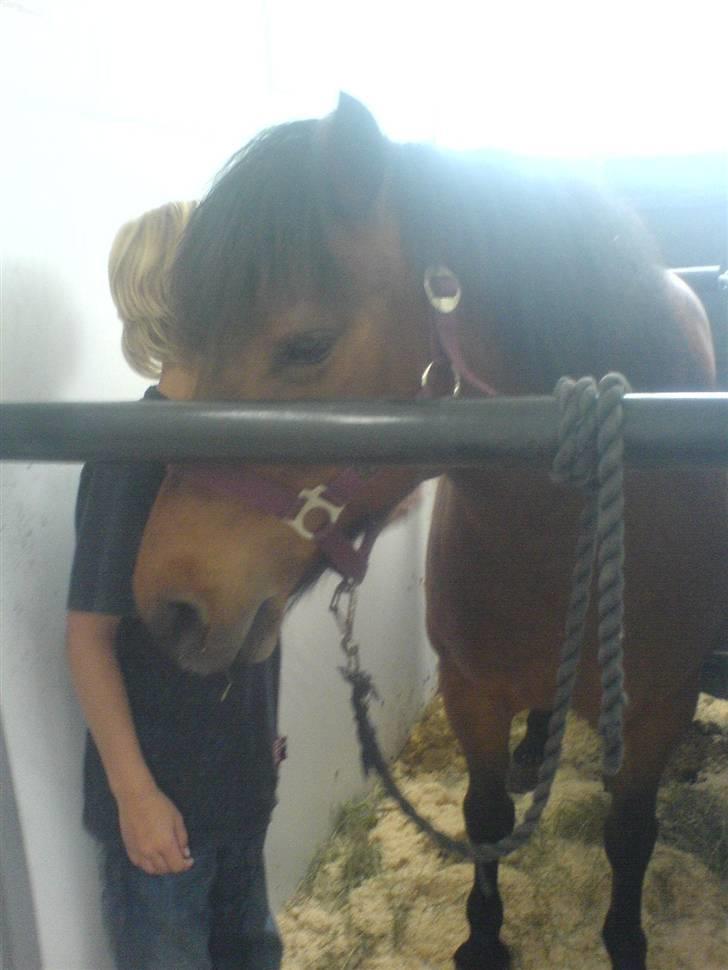 Anden særlig race Gaby - Den gang vi hentede hende  d 25.06.07 :) billede 14