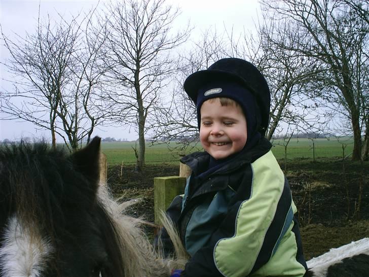 Anden særlig race Diva billede 9