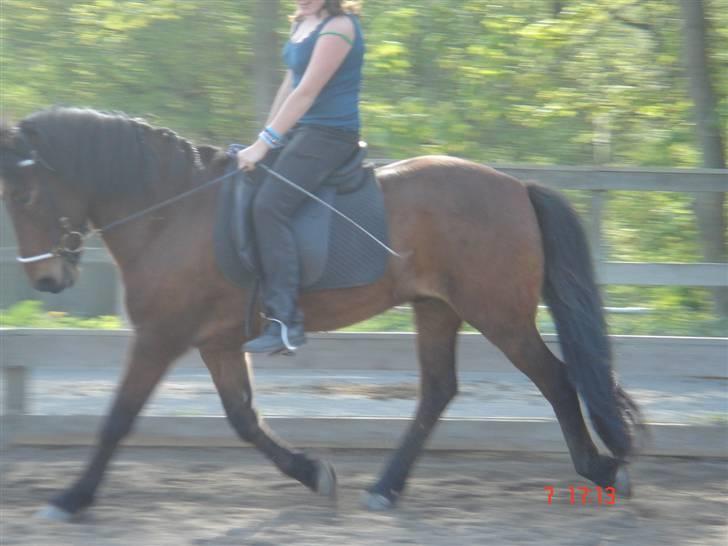 Islænder Sómi - sómi og jeg traver på banen <3 billede 10