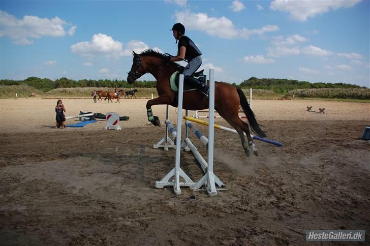 Sportsaraber (A) Poldehøjs Rasmine <3 - spring undervisning. billede 18