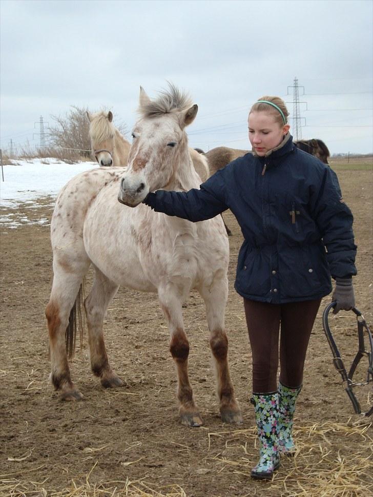 Anden særlig race »Philippa<3 »Gammel part. - NYT! iloveyou!<3. På fold :D<3. FOTO: Frederikke, tusind tak Frede, det er MEGA godt!:D<3. billede 4