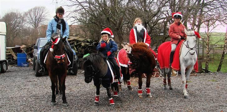 Anden særlig race Tarzan - Annika og Flicka, mig og Tarzan, Debbie og Mille, Camilla og Juwel billede 18