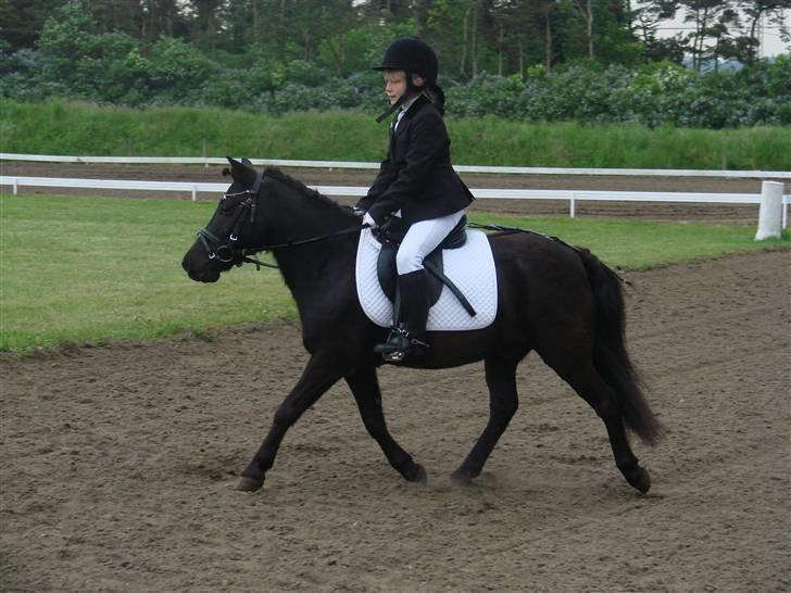 Anden særlig race Tarzan - 2007 billede 20