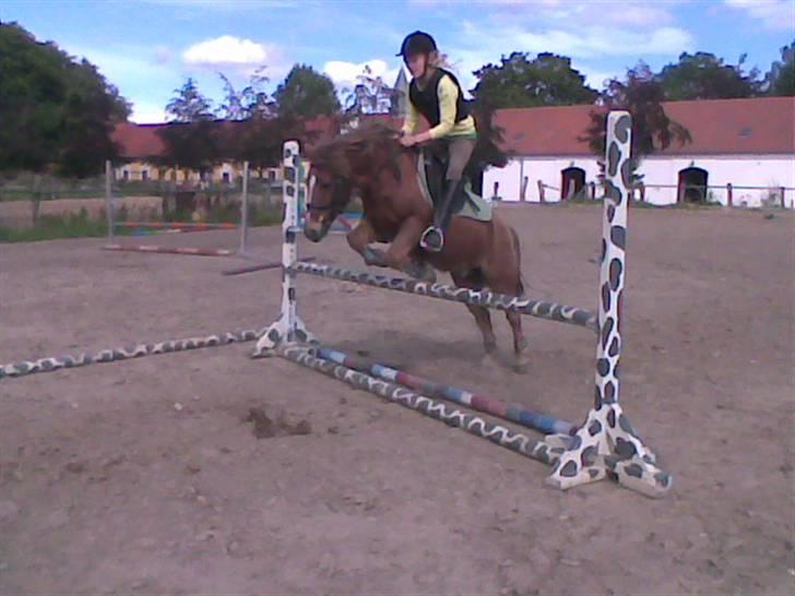 Anden særlig race Prins <3 (gammel part) - fordi du var den bedste <3 Signe Eller Sara billede 4