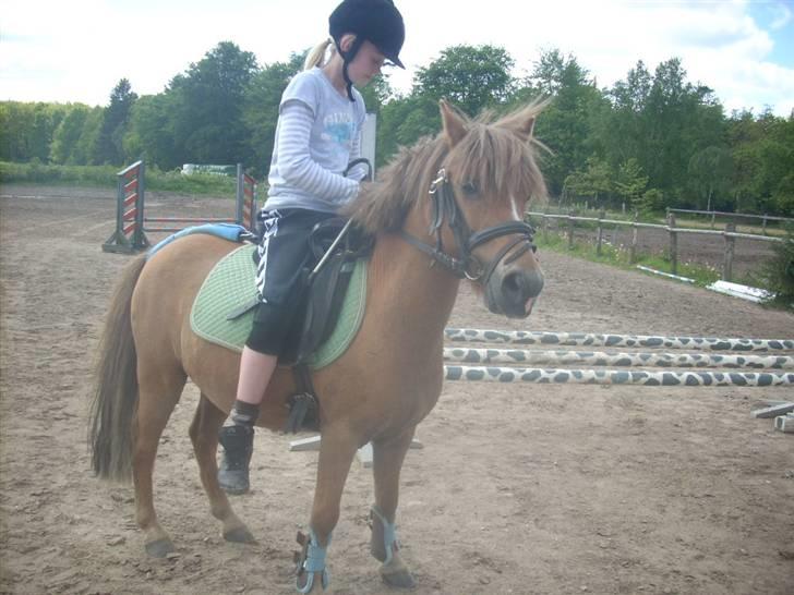 Anden særlig race Prins <3 (gammel part) - elskede dig over alt på jorden :* og gør det stadig min egen <33 Foto Signe <3 billede 6