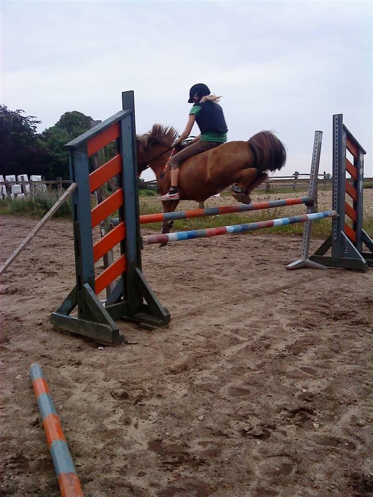 Anden særlig race Prins <3 (gammel part) - vi var to, men svævede som en :* Foto: Signe Eller Sara billede 7