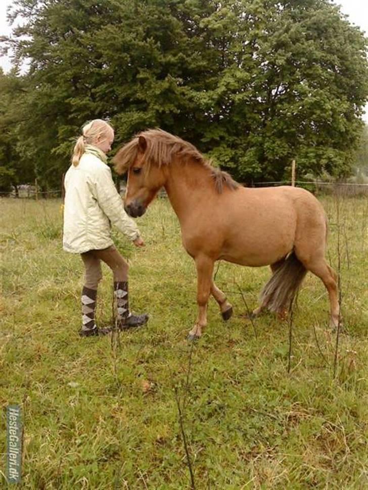 Anden særlig race Prins <3 (gammel part) - du vil altid være i mit hjerte Foto: Lise billede 8