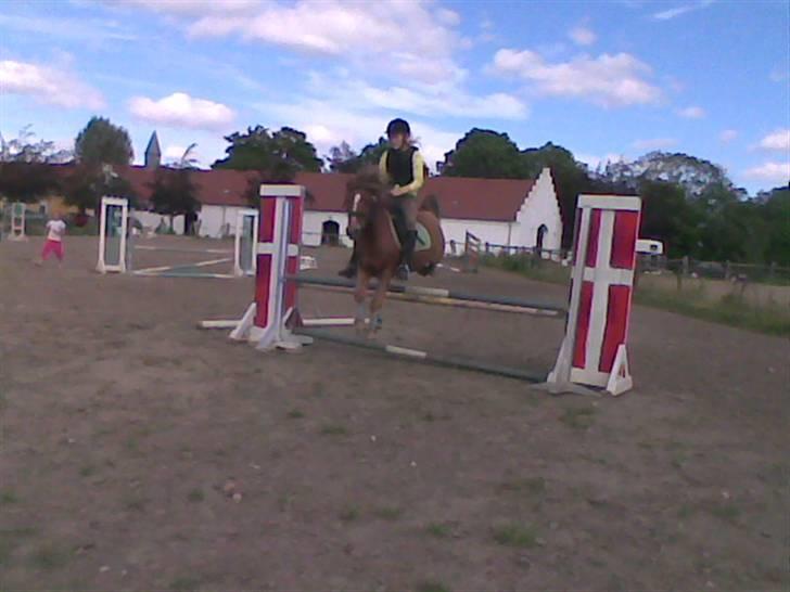 Anden særlig race Prins <3 (gammel part) - åhh.. min lille dreng.. Foto Sara billede 9