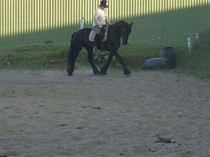 Frieser mucia brandbjerg (solgt) billede 1