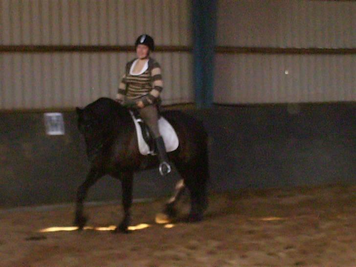 Frieser mucia brandbjerg (solgt) billede 6