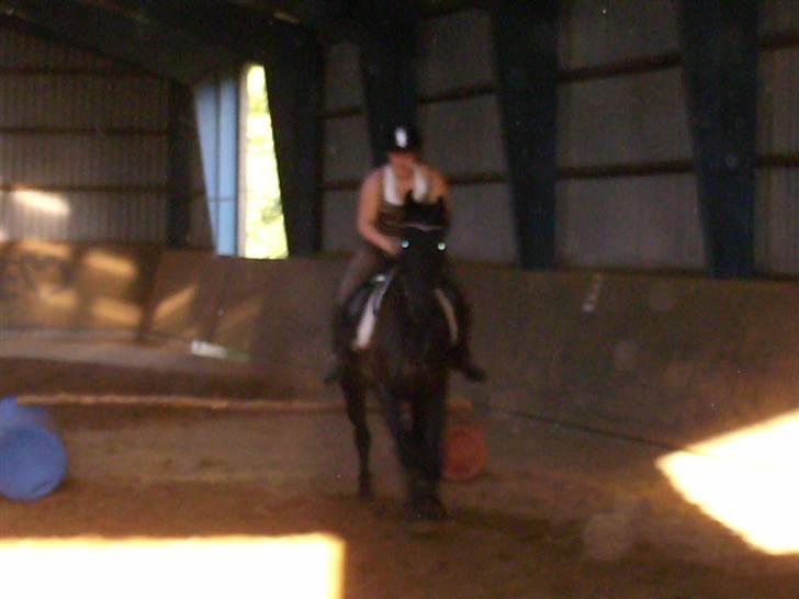 Frieser mucia brandbjerg (solgt) billede 8