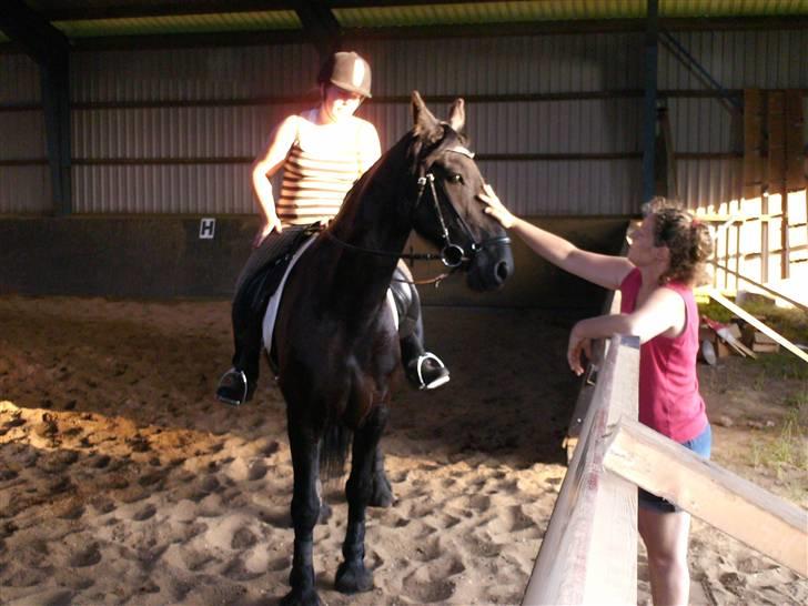 Frieser mucia brandbjerg (solgt) billede 10