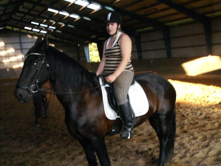 Frieser mucia brandbjerg (solgt) billede 11