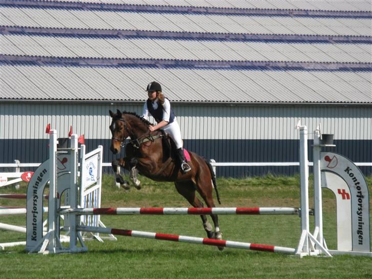 Dansk Varmblod Robocop - stævne i gjern - vores første :) foto: karen baby! :D billede 15